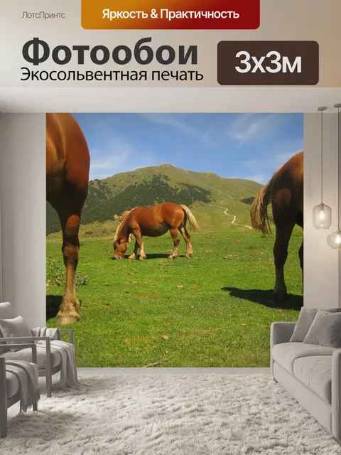 Фотообои Лошади