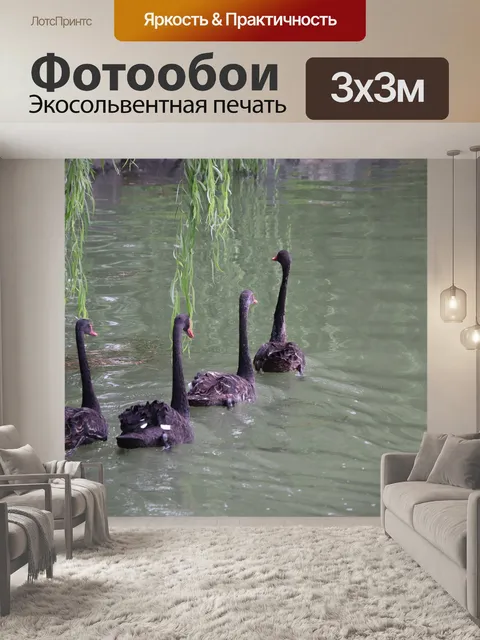 Фотообои Лебеди