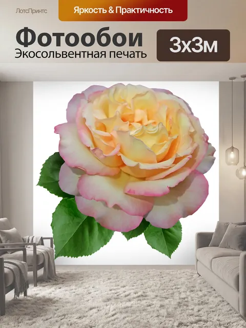 Фотообои Роза