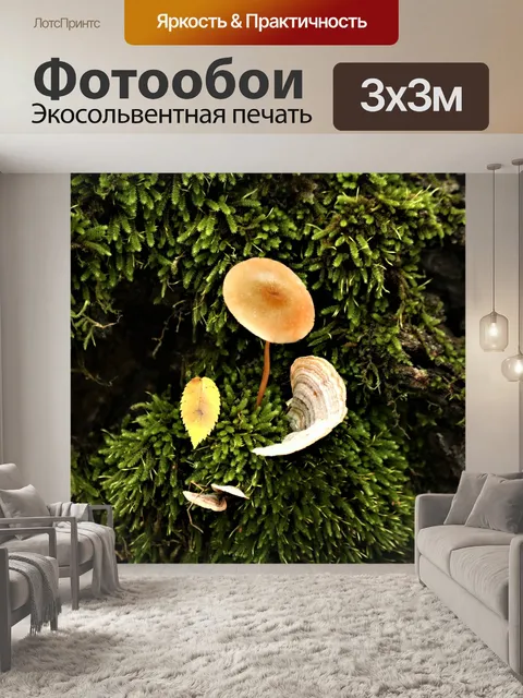 Фотообои Коричневый гриб и грибок на мхе