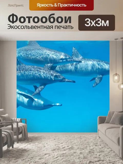 Фотообои Дельфин