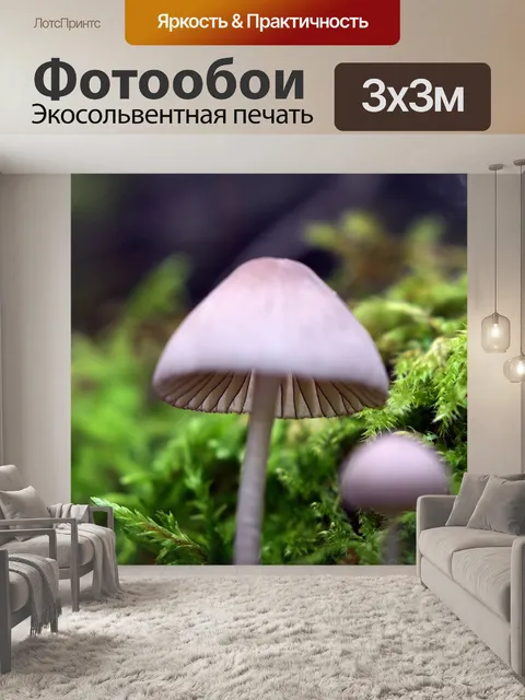 Фотообои Грибы