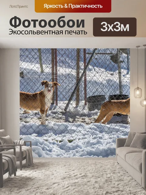Фотообои Собаки