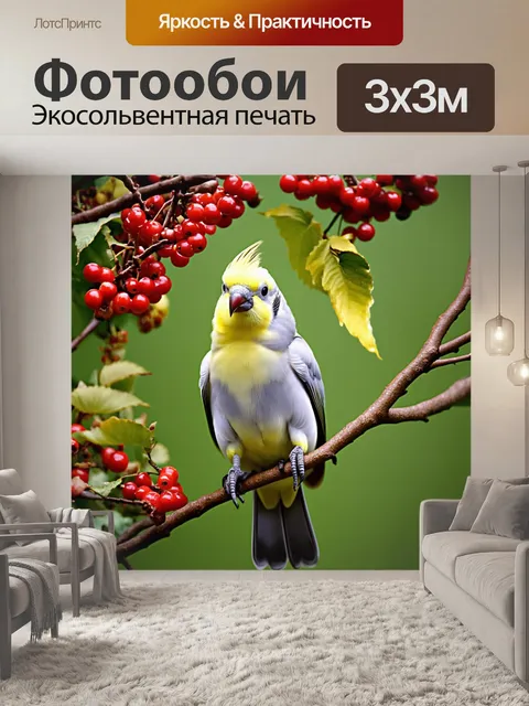 Фотообои корелла, сидящая на ветвях ягодного дерева, с ягодами, рисующими яркие контуры вокруг птицы