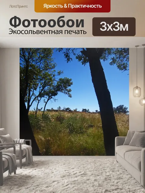Фотообои тенистое место под деревьями