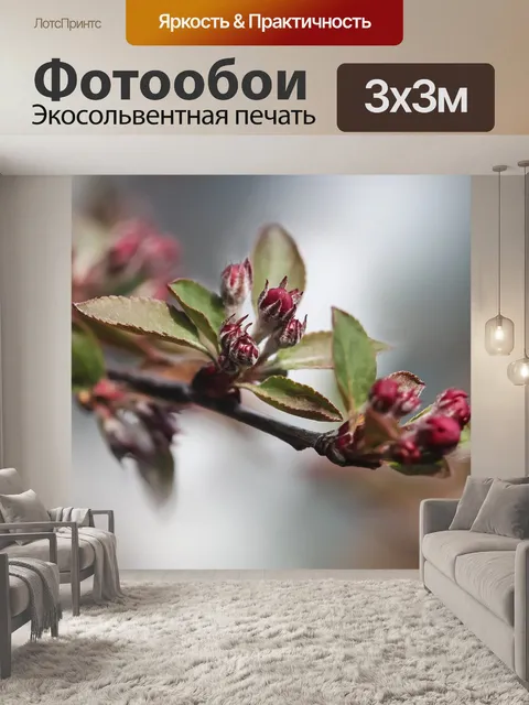 Фотообои Веточка