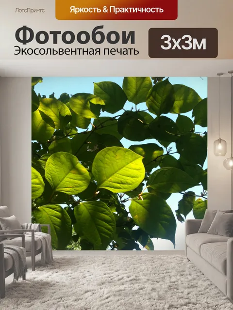 Фотообои Листья деревьев
