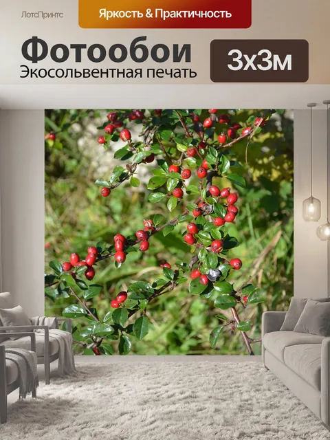 Фотообои Природа