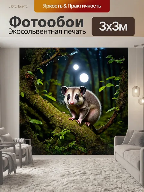 Фотообои опоссум, сидящий на ветвях густого леса, его пухлый мех мерцает в тусклом свете лунного сияния