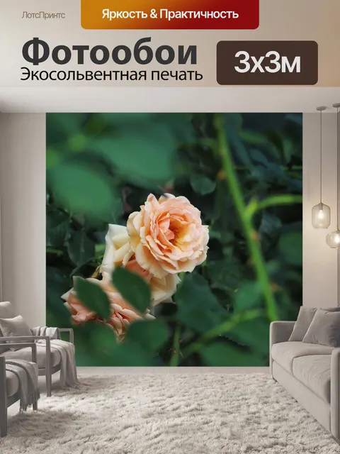 Фотообои Макрос