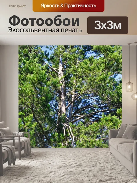 Фотообои Дерево