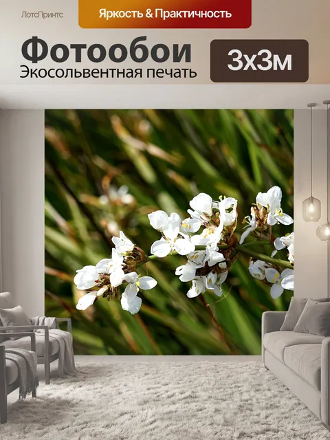 Фотообои белые цветы