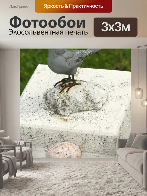 Фотообои Птица