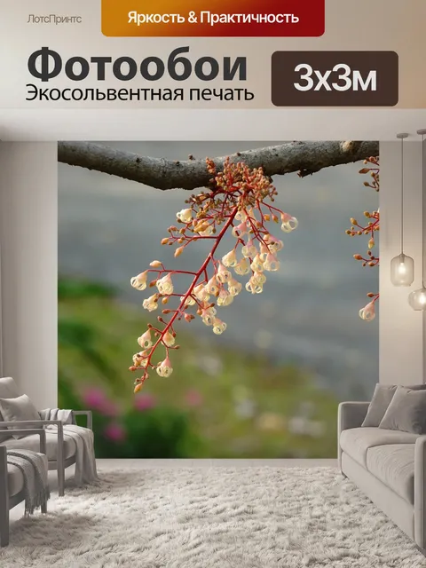 Фотообои Частота ро цветы