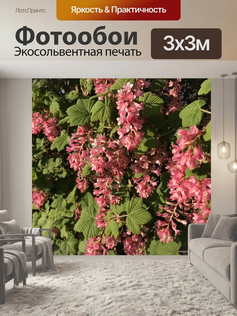 Фотообои Цветы