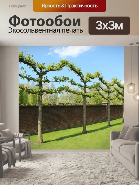 Фотообои Деревья