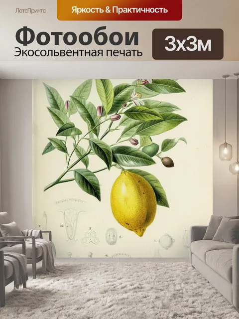 Фотообои Винтажное искусство фрукты лимон