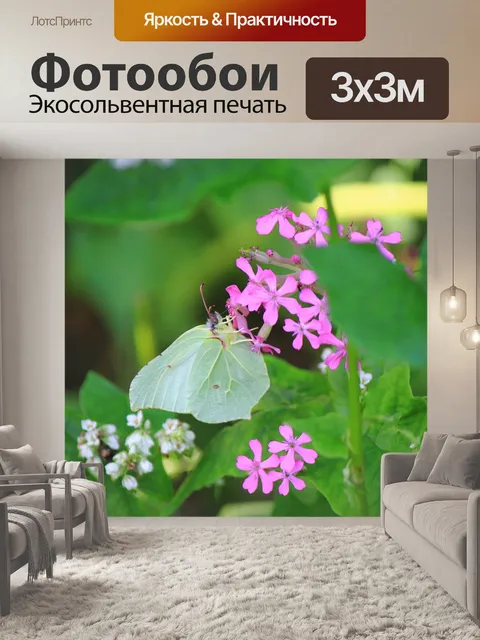 Фотообои Бабочка