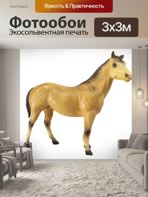 Фотообои Лошадь