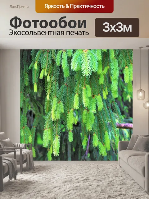 Фотообои Лес