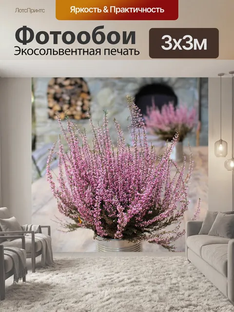 Фотообои Лаванда