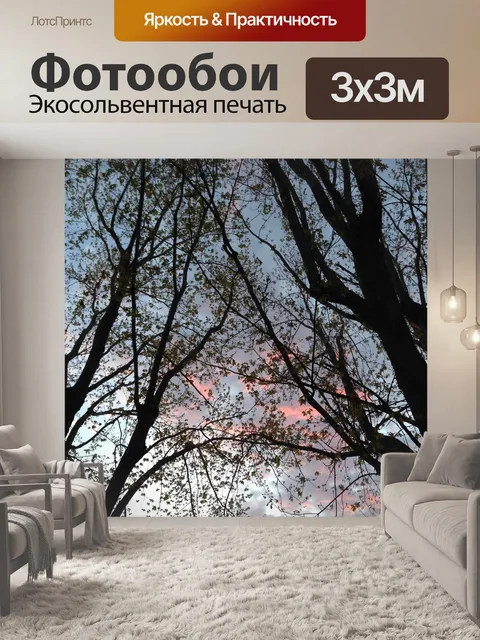 Фотообои Закат