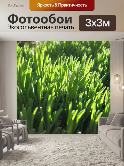 Фотообои Лаванда