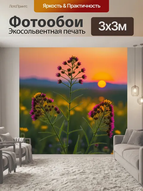 Фотообои полевые цветы на фоне заката