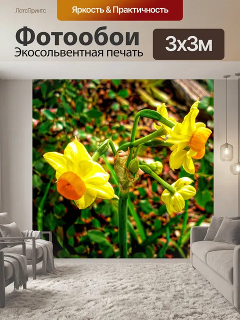 Фотообои Цветы