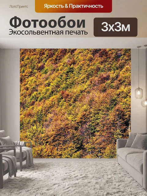 Фотообои Лес