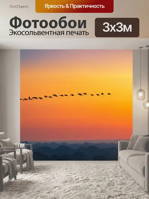 Фотообои птицы, парящие в теплом воздухе на рассвете