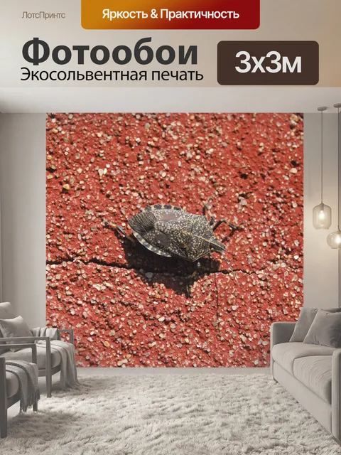 Фотообои Вонь ошибке