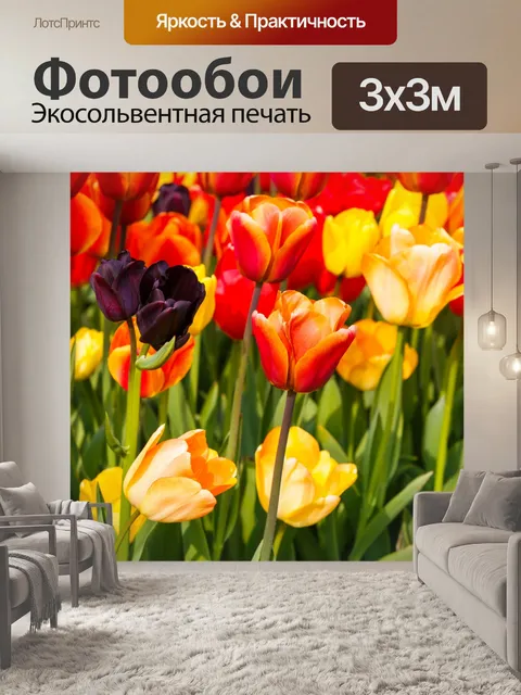 Фотообои Красочные тюльпаны в саду