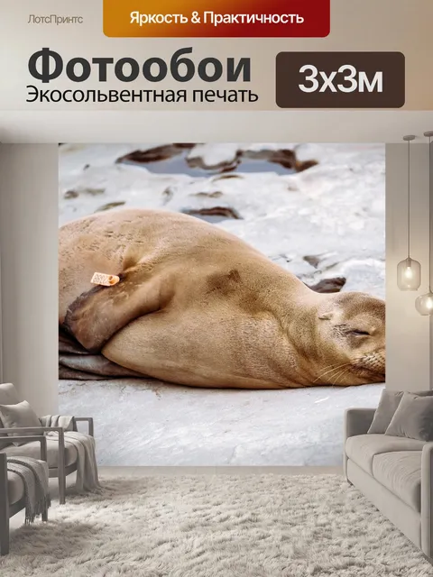Фотообои Море