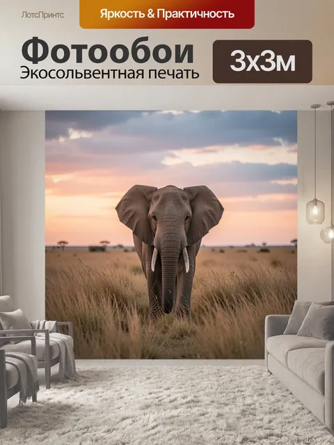 Фотообои Слон на саванне на закате