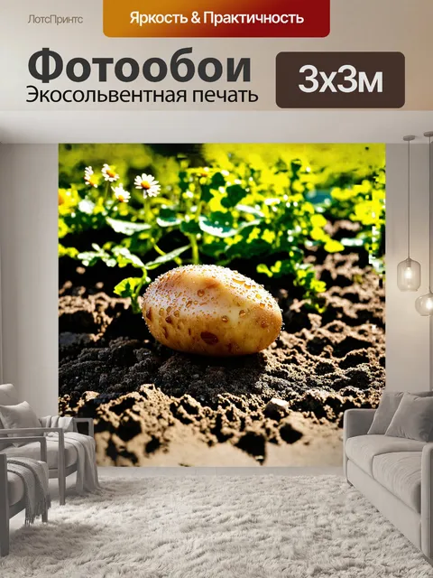 Фотообои картошка, покрытая росой, лежит на земле, обрамлённая зелеными листьями