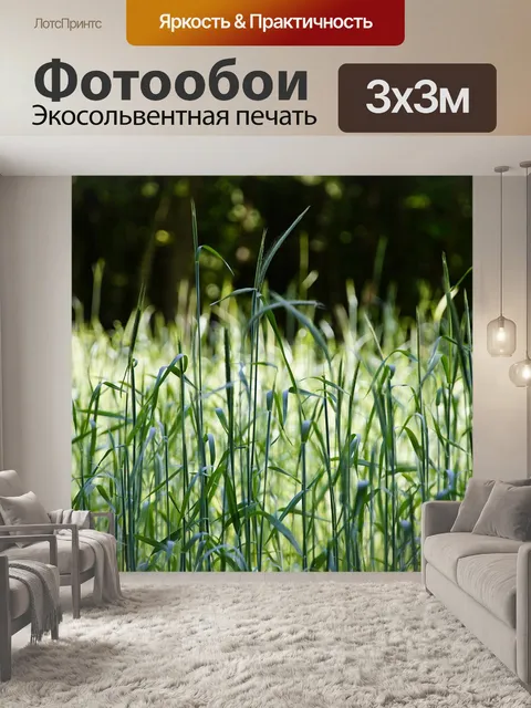 Фотообои Очистка