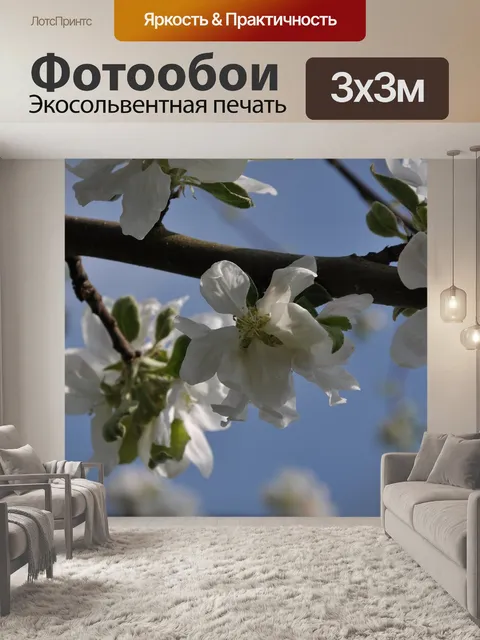 Фотообои Цвести