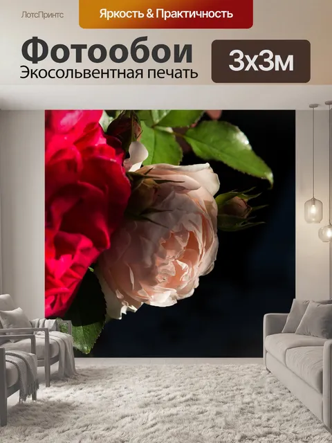 Фотообои Роза