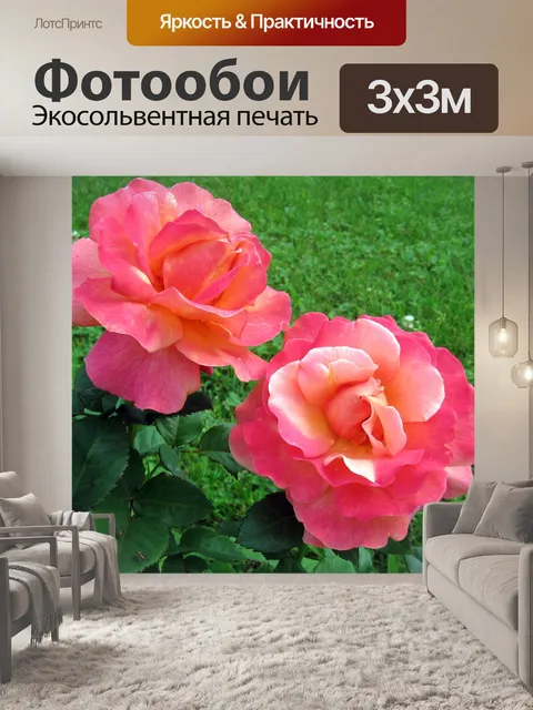 Фотообои Розы