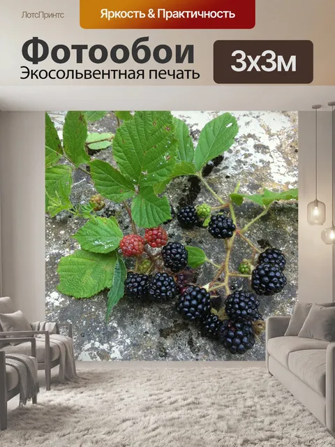 Фотообои Древесные фрукты