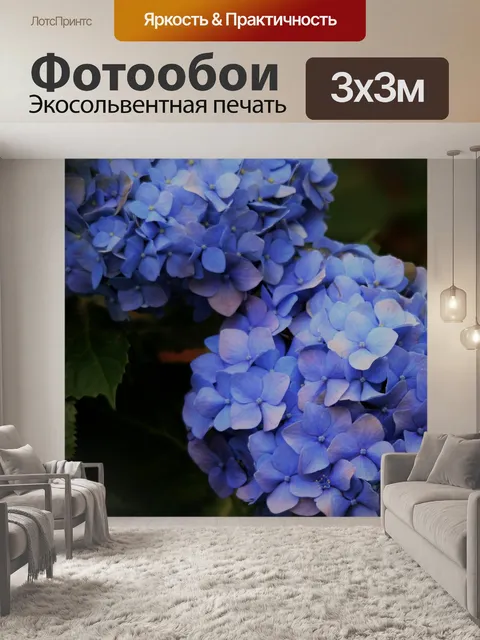 Фотообои синий гортензии цветения