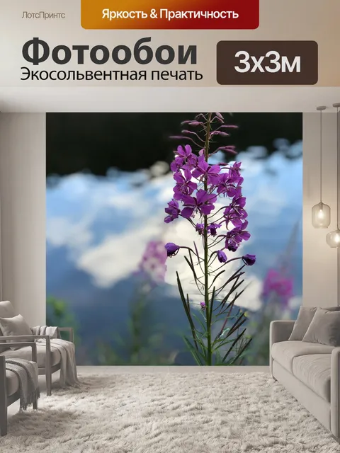 Фотообои Цветок