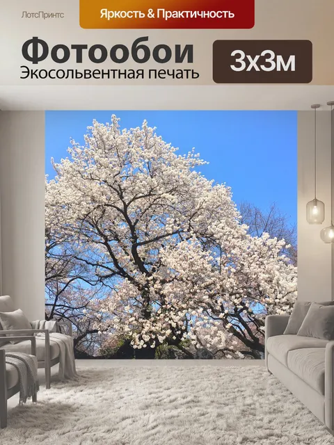 Фотообои Сакура