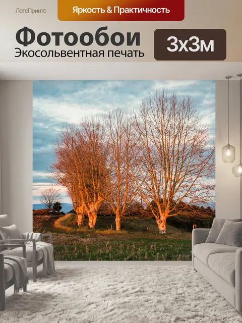 Фотообои Холмы