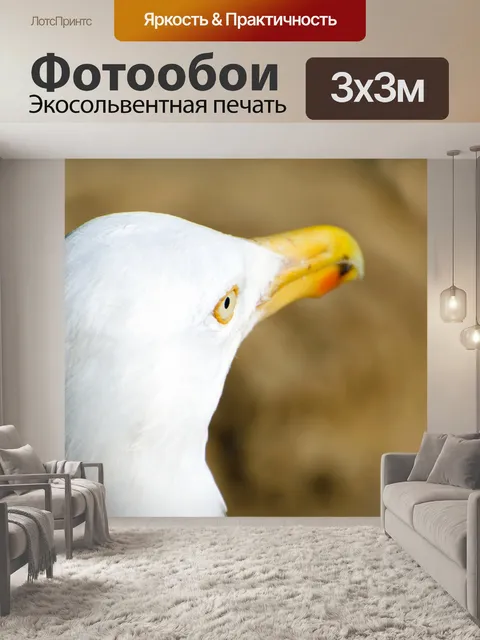 Фотообои Чайка