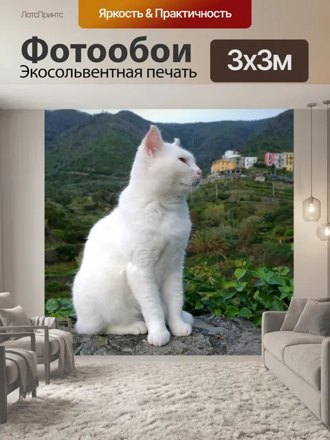 Фотообои Итальянский белый кот