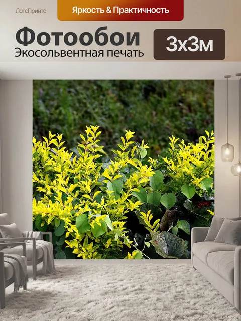 Фотообои Дерево