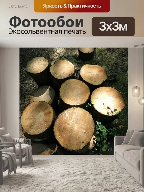 Фотообои Стволы деревьев