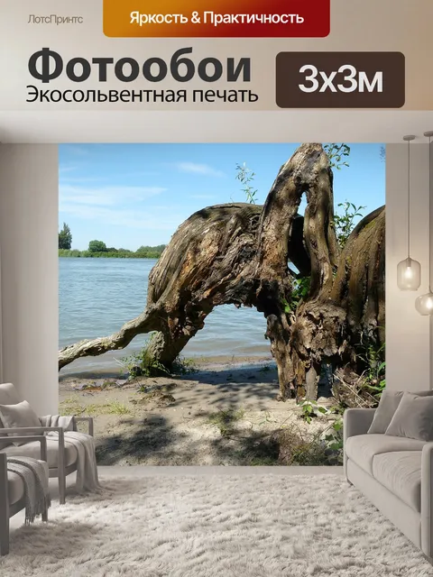 Фотообои Пень